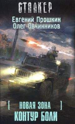 Евгений Прошкин - Новая Зона. Контур боли