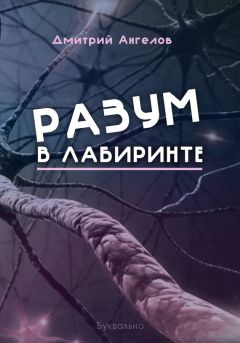 Дмитрий Ангелов - Разум в лабиринте