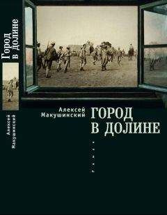 Алексей Макушинский - Город в долине