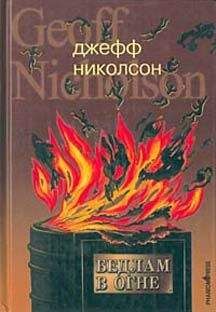 Джефф Николсон - Бедлам в огне