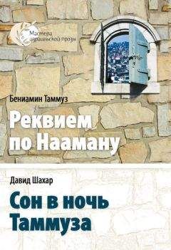 Давид Шахар - Сон в ночь Таммуза