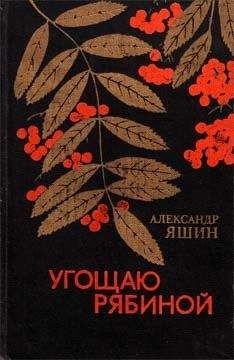 Александр Яшин - Охота на мертвого глухаря