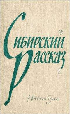 Вадим Макшеев - Последний парень