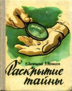 Николай Загородный - Раскрытие тайны