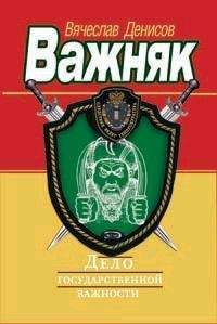 Вячеслав Денисов - Дело государственной важности