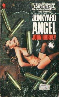 Джон Харви - Падший ангел