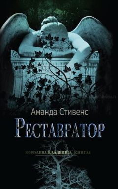 Аманда Стивенс - Реставратор