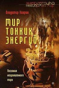 Владимир Киврин - Мир тонких энергий. Послание непроявленного мира