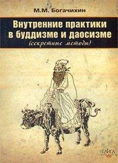 Май Богачихин - Внутренние практики в буддизме и даосизме (Секретные методы)