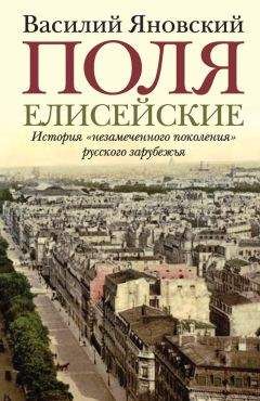 Василий Яновский - Поля Елисейские. Книга памяти