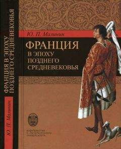 Юрий Малинин - Франция в эпоху позднего средневековья. Материалы научного наследия