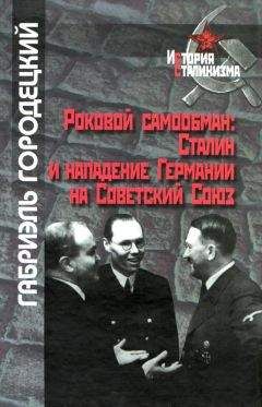 Габриэль Городецкий - Роковой самообман