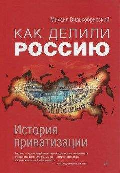 Михаил Вилькобрисский - Как делили Россию. История приватизации