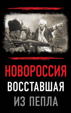 Авторский коллектив - Новороссия. Восставшая из пепла