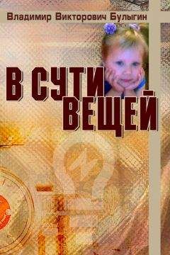 Владимир Булыгин - В сути вещей