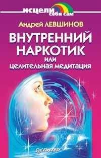 Андрей Левшинов - Внутренний наркотик или Целительная медитация