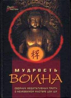 Павел Федотов - Мудрость воина. Сборник медитативных притч