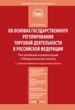 Мария Егорова - Комментарий к Федеральному закону от 28 декабря 2009 г. № 381-ФЗ «Об основах государственного регулирования торговой деятельности в Российской Федерации» (постатейный)