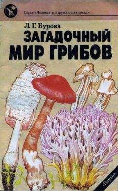 Лидия Бурова - Загадочный мир грибов