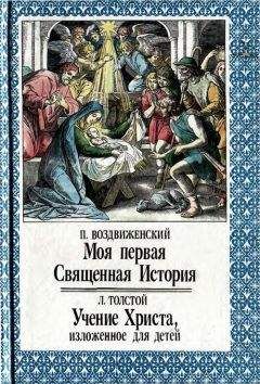 П. Воздвиженский - Моя первая Священная История. Учение Христа, изложенное для детей