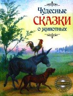 Якоб Гримм - Чудесные сказки о животных