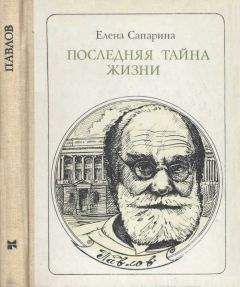 Елена Сапарина - Последняя тайна жизни (Этюды о творчестве)