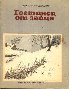 Константин Домаров - Гостинец от зайца (рассказы)
