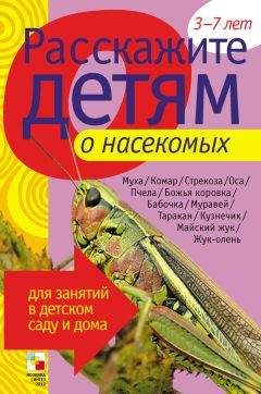 Э. Емельянова - Расскажите детям о насекомых