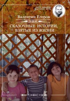 Валентин Егоров - Сказочные истории, взятые из жизни (сборник)