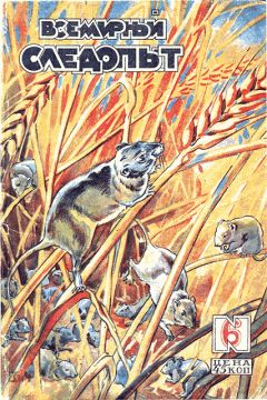 В. Чаплыгин - Всемирный следопыт, 1930 № 06