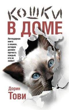 Дорин Тови - Кошки в доме (сборник)