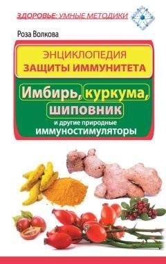 Роза Волкова - Энциклопедия защиты иммунитета. Имбирь, куркума, шиповник и другие природные иммуностимуляторы