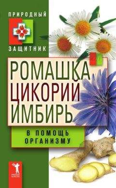 Юлия Николаева - Ромашка, цикорий, имбирь в помощь организму