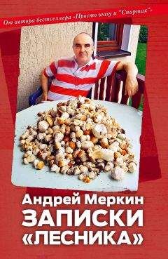 Андрей Меркин - Записки «лесника»