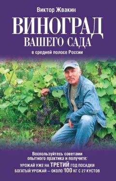Виктор Жвакин - Виноград вашего сада в средней полосе России