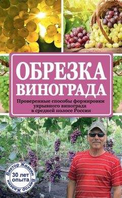 Виктор Жвакин - Обрезка винограда. Проверенные способы формировки укрывного винограда в средней полосе России