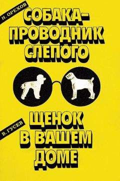 Владимир Гусев - Щенок в вашем доме