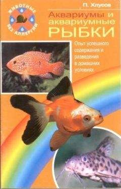 Петр Хлусов - Аквариумы и аквариумные рыбки. Опыт успешного содержания и разведения в домашних условиях