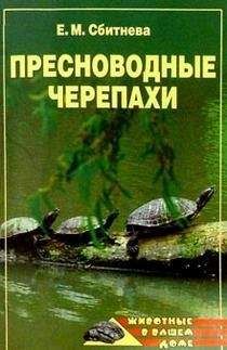 Евгения Сбитнева - Пресноводные черепахи
