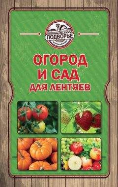 Тамара Руцкая - Огород и сад для лентяев