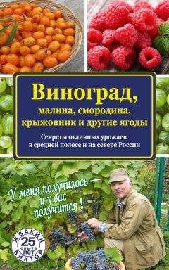 Виктор Жвакин - Виноград, малина, смородина, крыжовник и другие ягоды