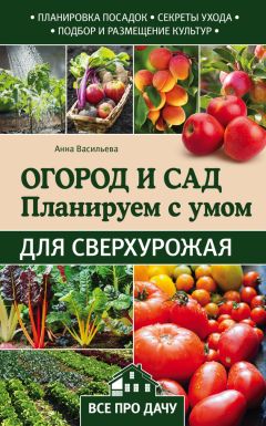 Анна Васильева - Огород и сад. Планируем с умом для сверхурожая