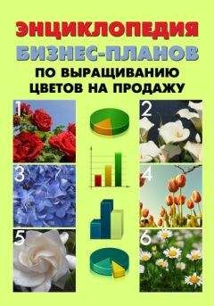 Павел Шешко - Энциклопедия бизнес-планов по выращиванию цветов на продажу