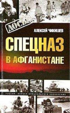 Алексей Чикишев - Спецназ в Афганистане