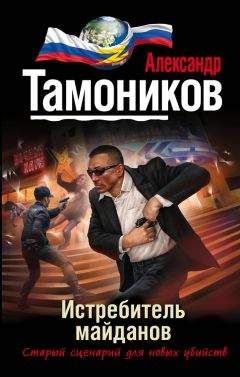 Александр Тамоников - Истребитель майданов