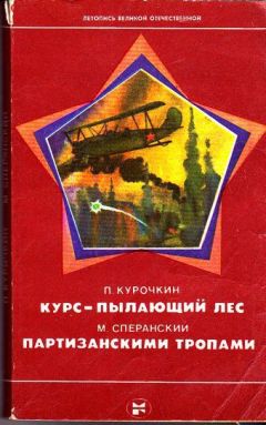 П. Курочкин - Курс — пылающий лес. Партизанскими тропами