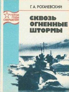 Георгий Рогачевский - Сквозь огненные штормы