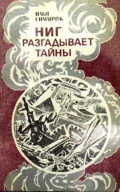 Илья Симанчук - НИГ разгадывает тайны. Хроника ежедневного риска