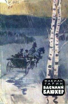 Фабиан Гарин - Василий Блюхер. Книга 1