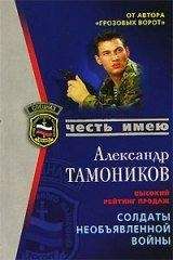 Александр Тамоников - Солдаты необьявленной войны